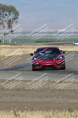 media/May-03-2024-PCA Central Coast (Fri) [[eaa7da0ee1]]/Yellow Group/Session 1 (Grapevine)/